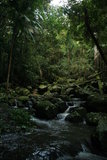 Border Ranges
