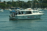 SeaLife V, Rose Bay