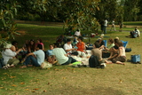 Group