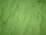 Hidden Ray