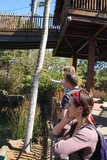 Watching the baby elephant